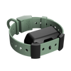 Training Collar Setup
