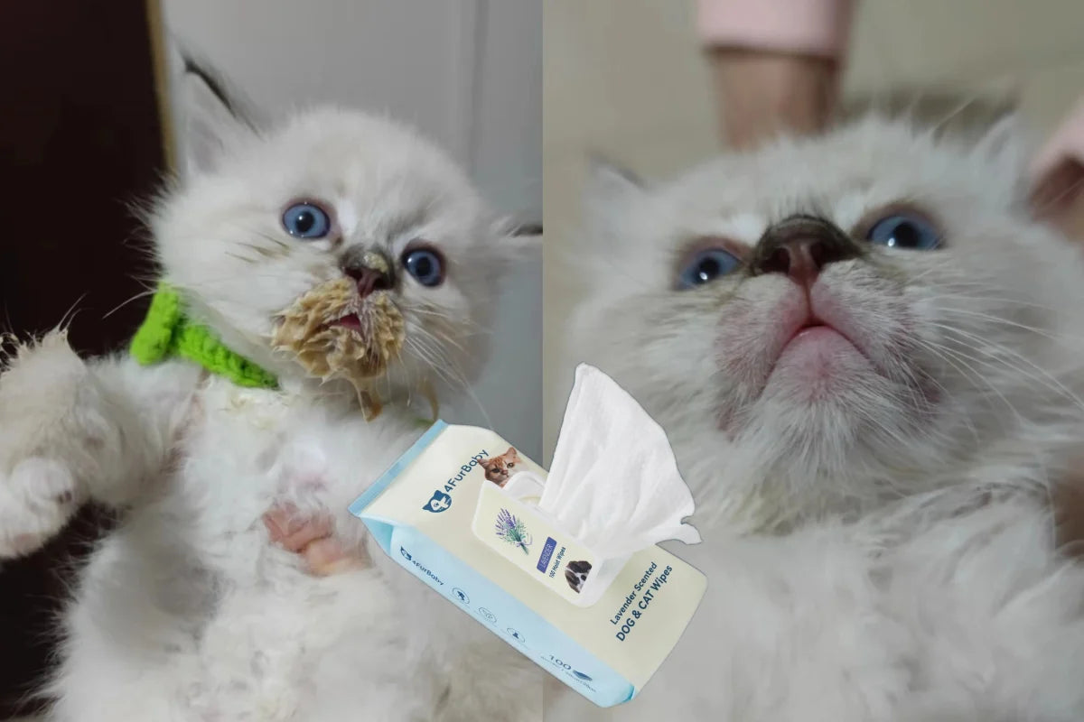 4FurBaby Plant-Based Hypoallergenic Dog Cat Grooming Wipes 400 Count