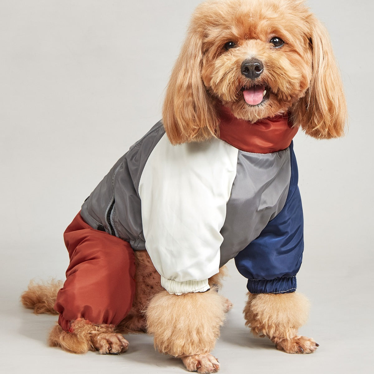 Pet Winter Color Matching Cotton-padded Clothes Dog Medium Large Dog Warm And Comfortable