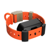 Training Collar Setup
