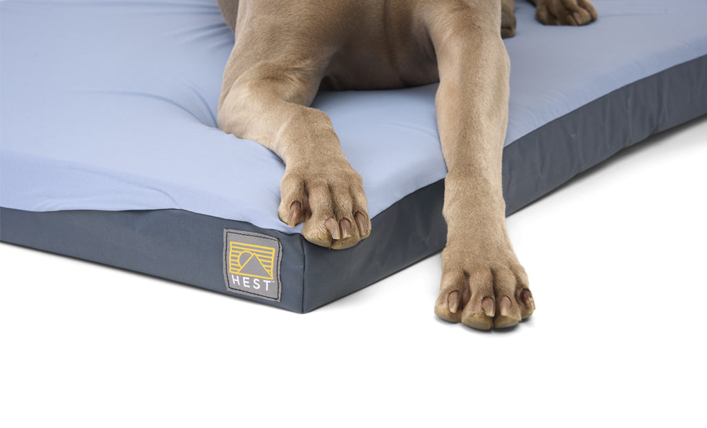HEST Dog Bed Comfortable Durable Cushion for Sleeping Lounging