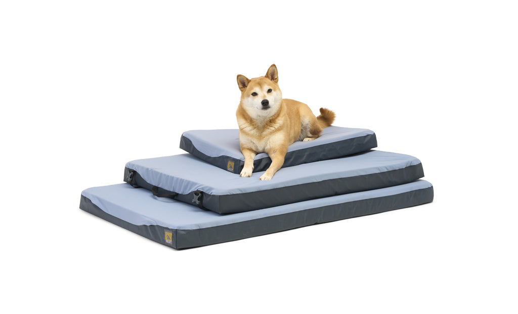 HEST Dog Bed Comfortable Durable Cushion for Sleeping Lounging