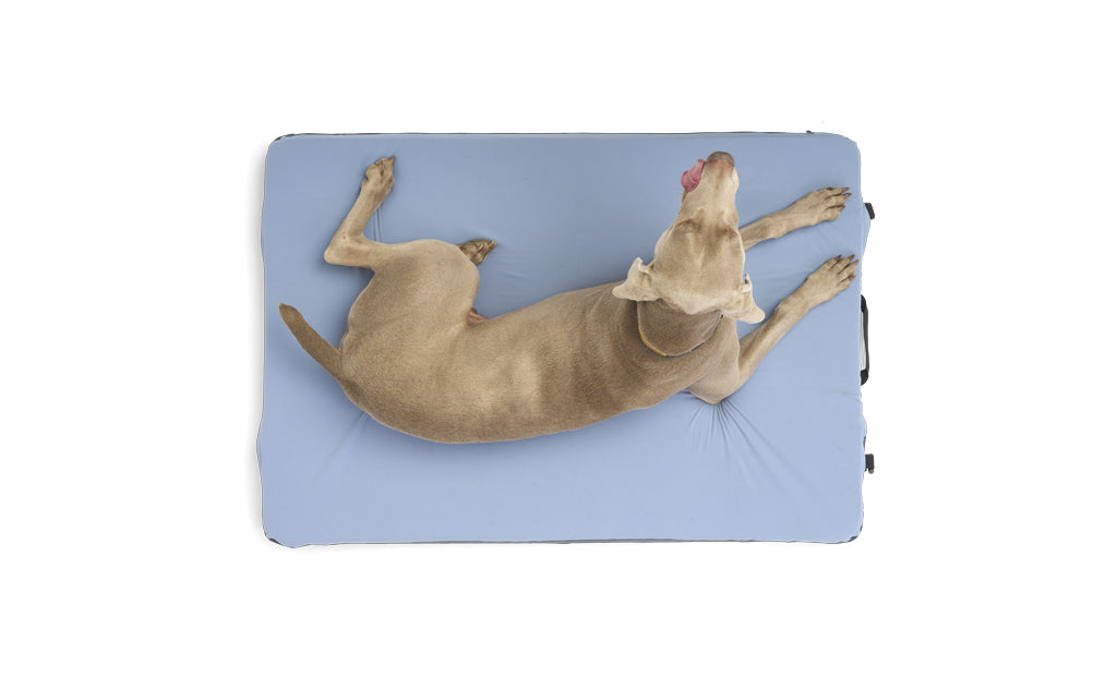 HEST Dog Bed Comfortable Durable Cushion for Sleeping Lounging