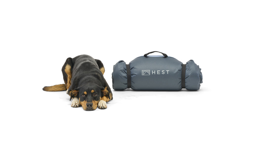 HEST Dog Bed Comfortable Durable Cushion for Sleeping Lounging