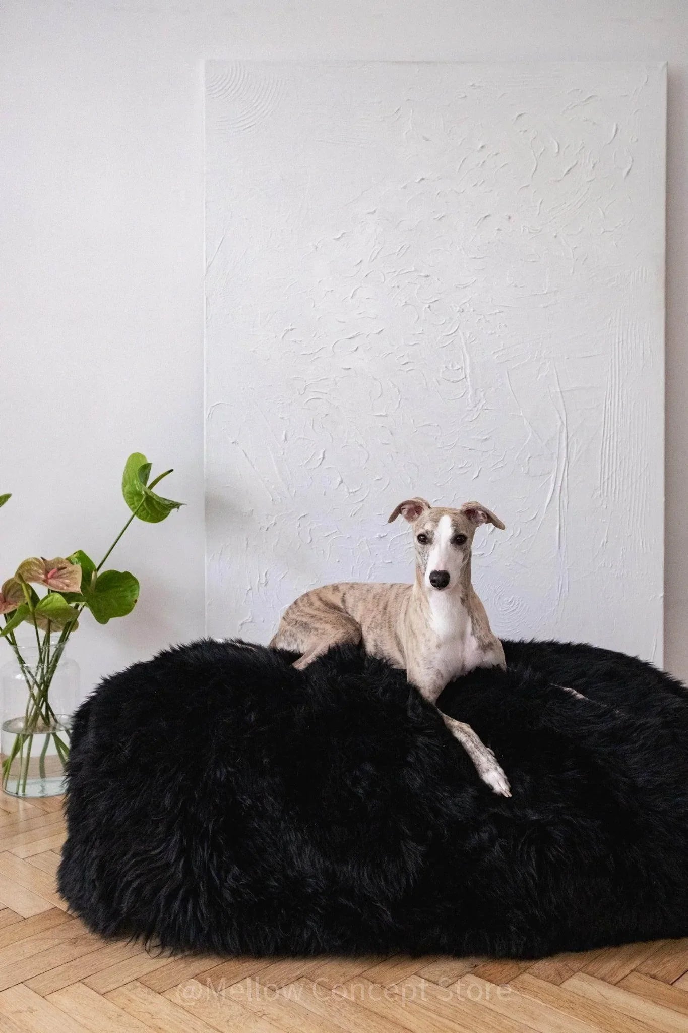 Oval Sheepskin Luxury Pet Bed Soft Cozy Dog Cat Cushion