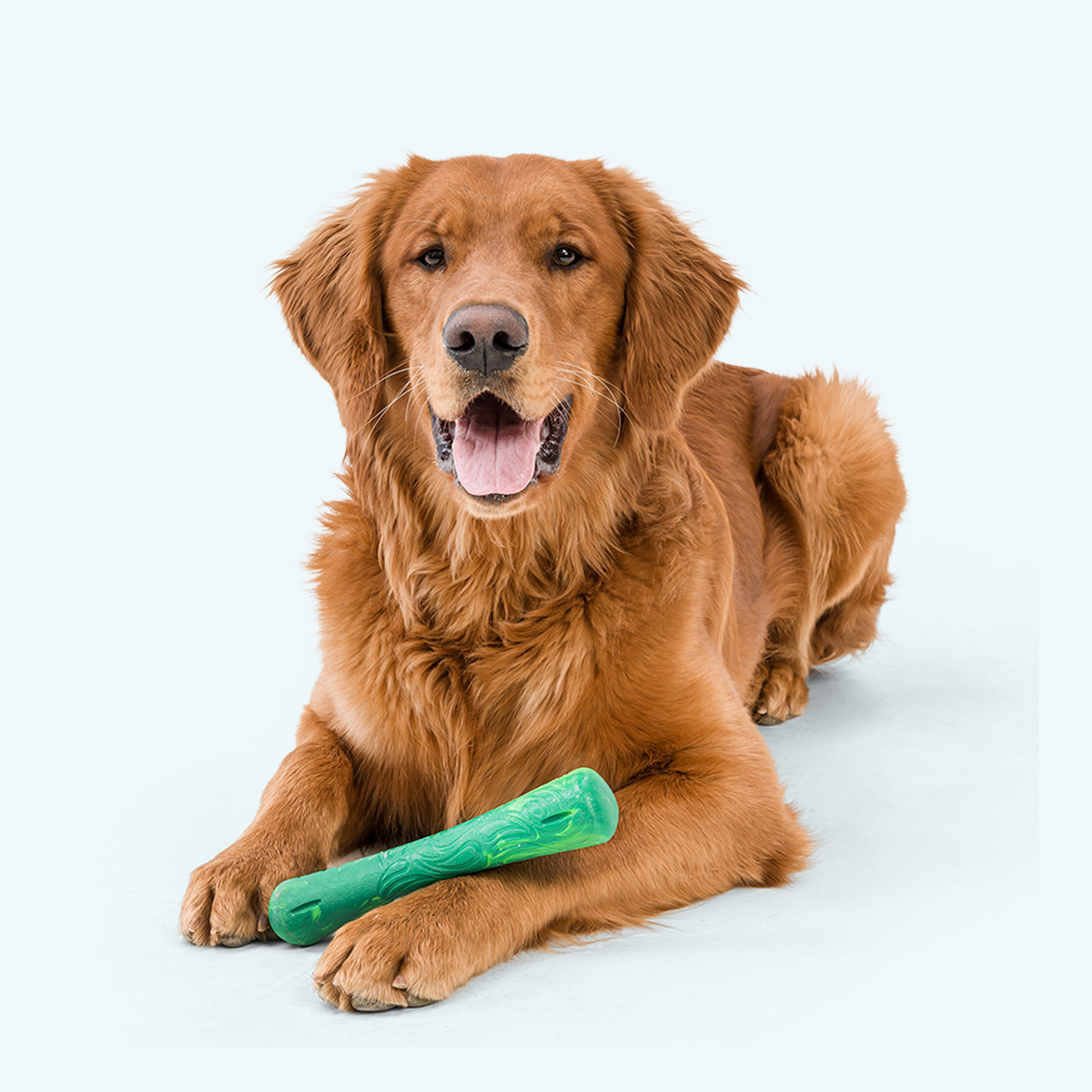 Drifty Interactive Dog Toy for Fun Fetch Chewing and Play