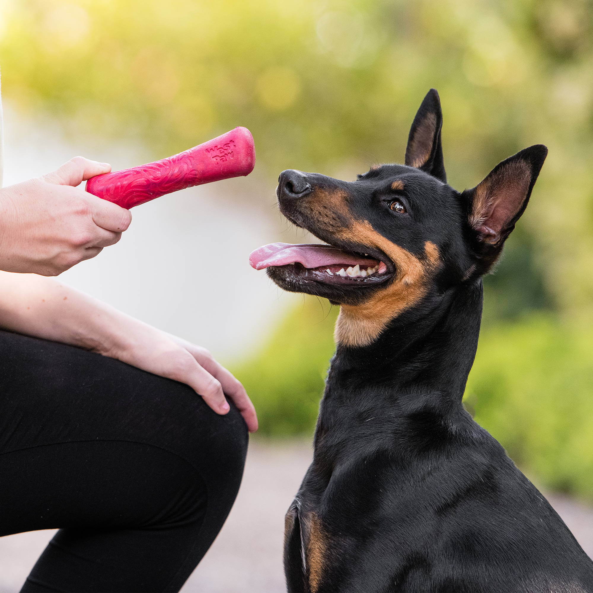 Drifty Interactive Dog Toy for Fun Fetch Chewing and Play