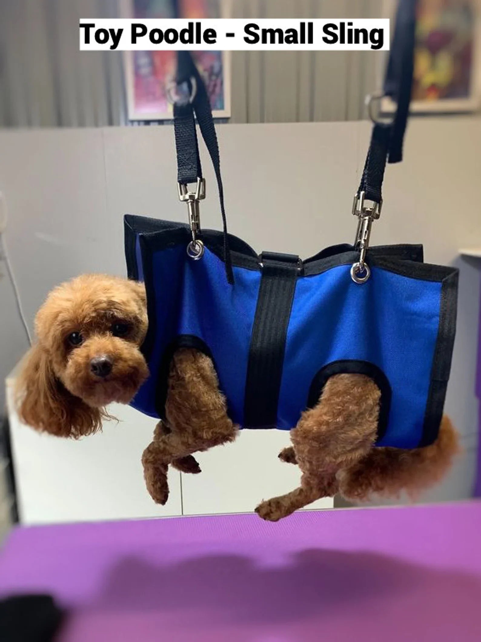 Pet Grooming Sling for Dogs Cats Nail Clipping Bathing Care