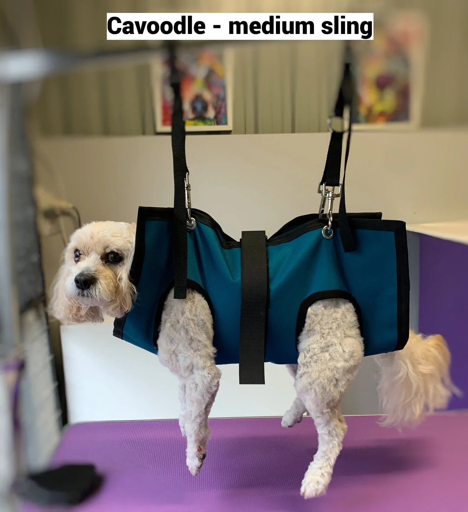 Pet Grooming Sling for Dogs Cats Nail Clipping Bathing Care