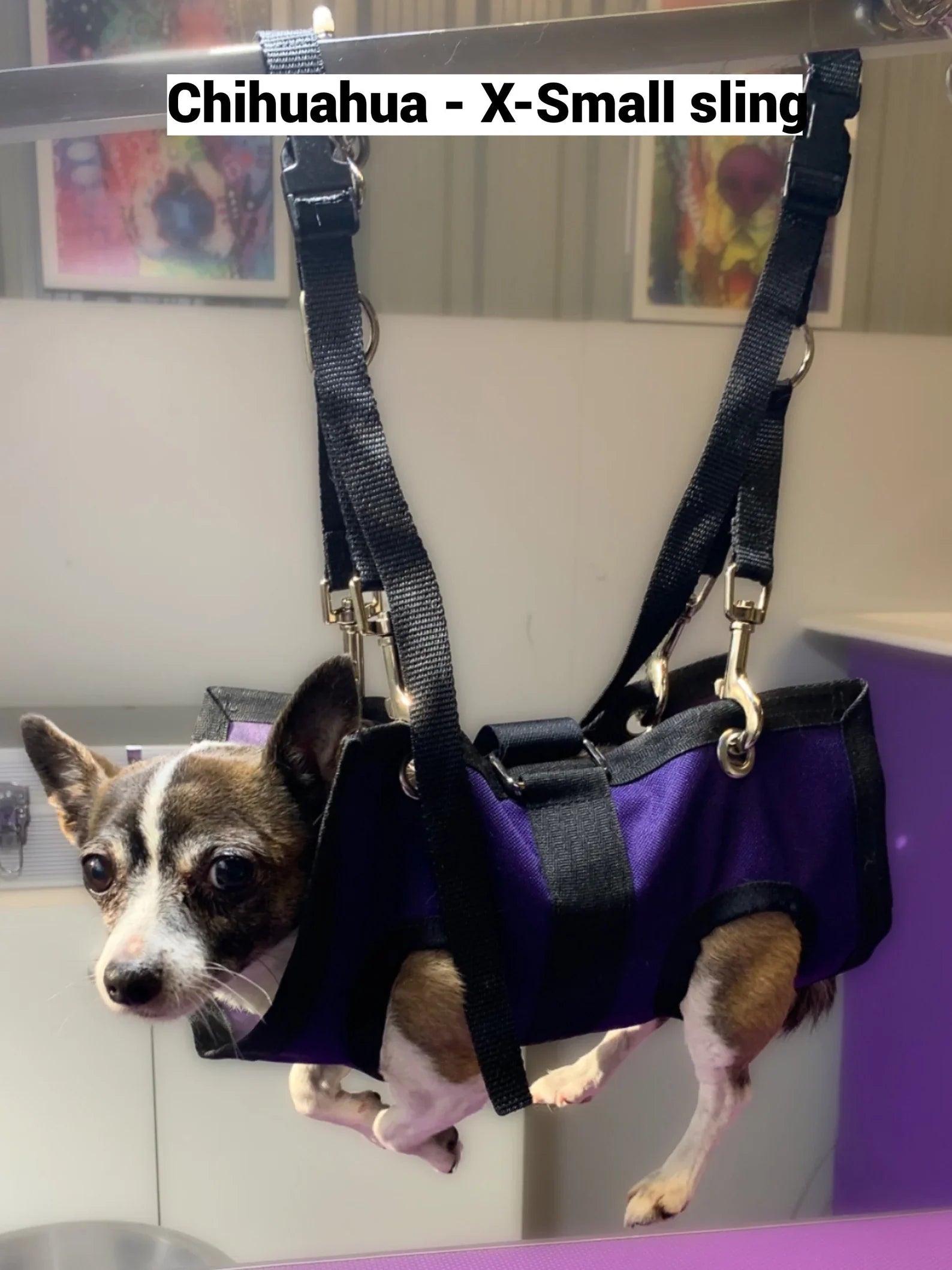 Pet Grooming Sling for Dogs Cats Nail Clipping Bathing Care