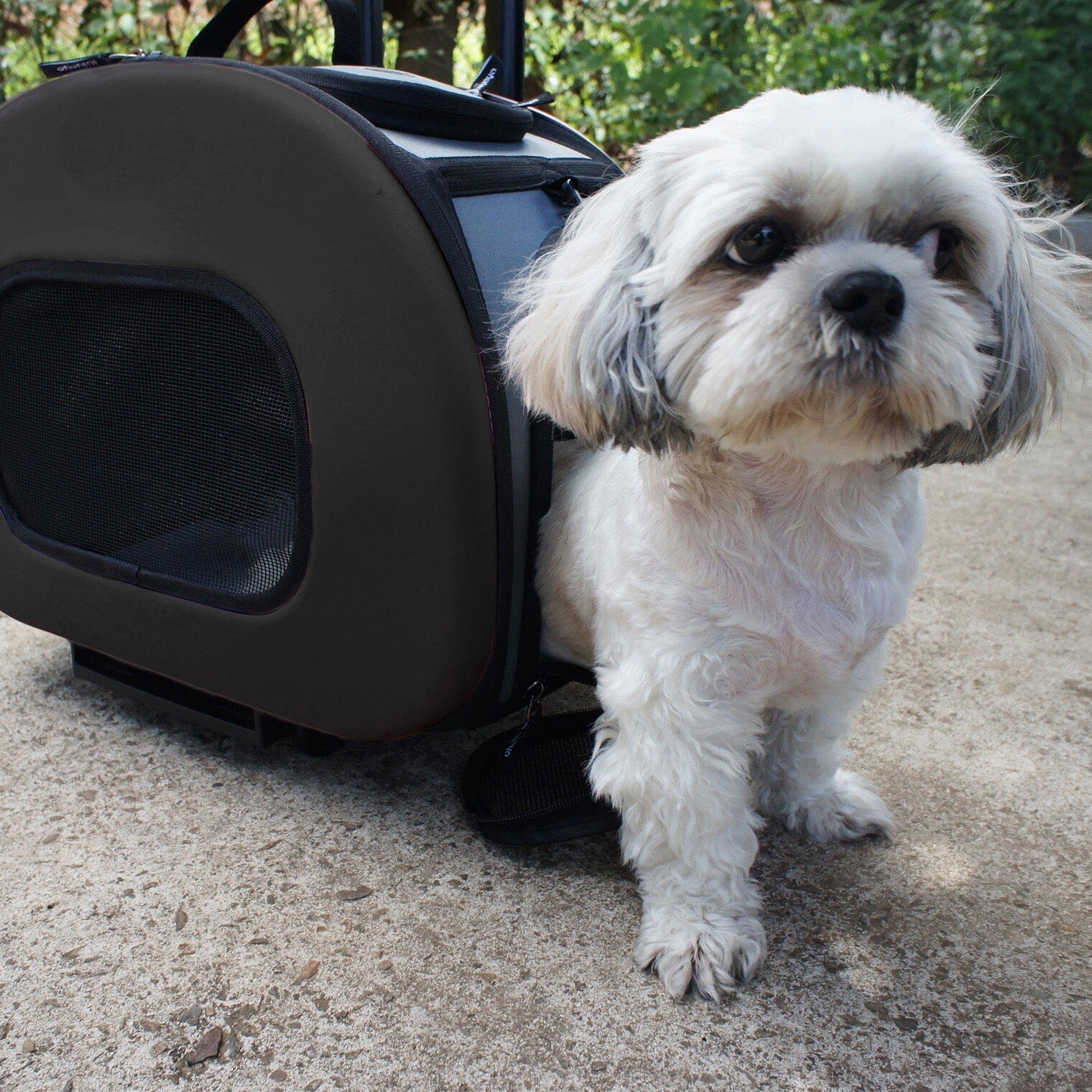 Final Destination Airline Approved 2-in-1 Wheeled Pet Carrier Crate