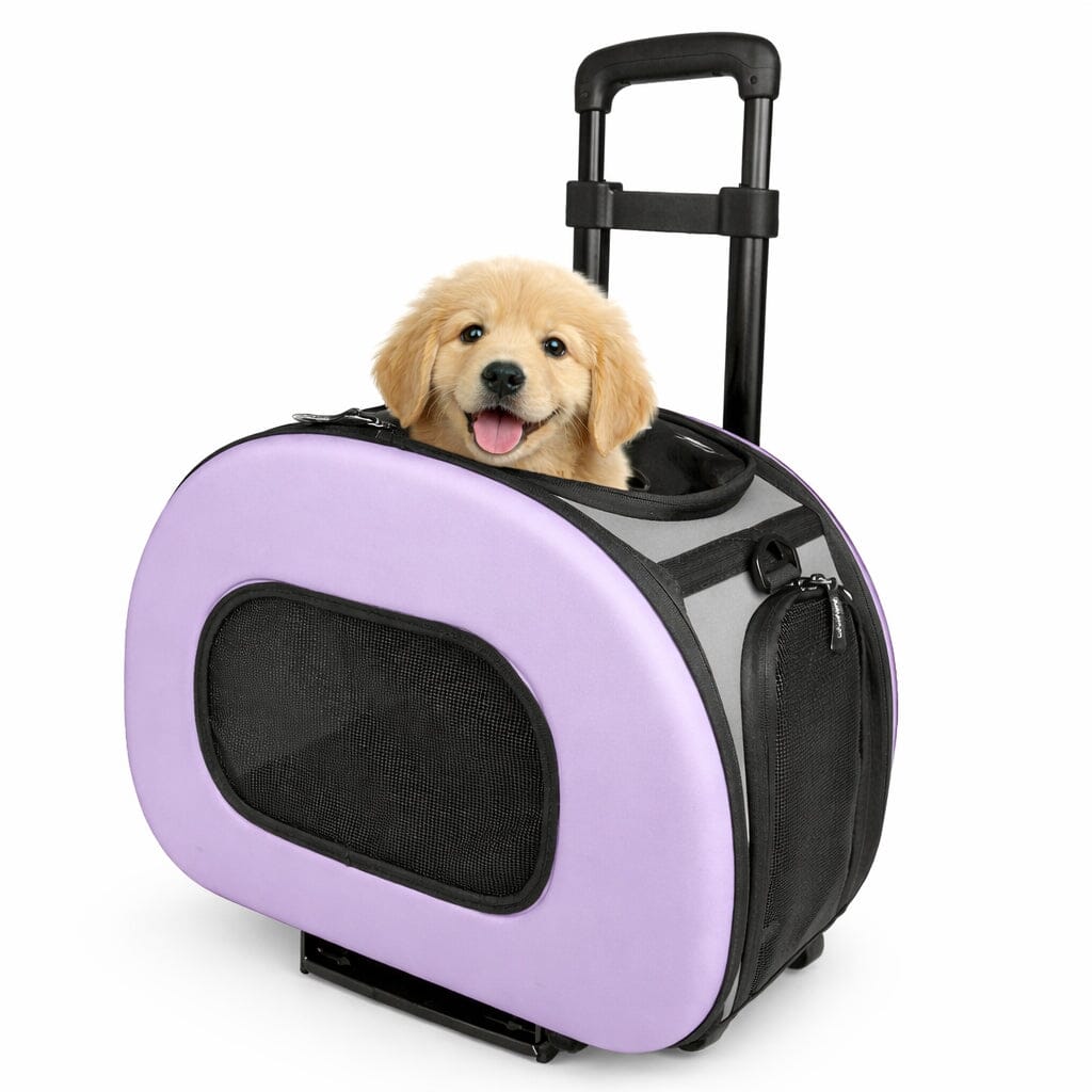 Final Destination Airline Approved 2-in-1 Wheeled Pet Carrier Crate