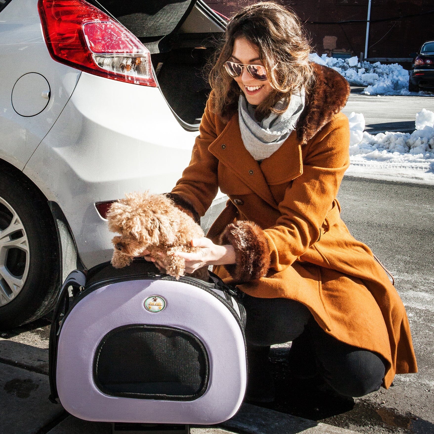 Final Destination Airline Approved 2-in-1 Wheeled Pet Carrier Crate