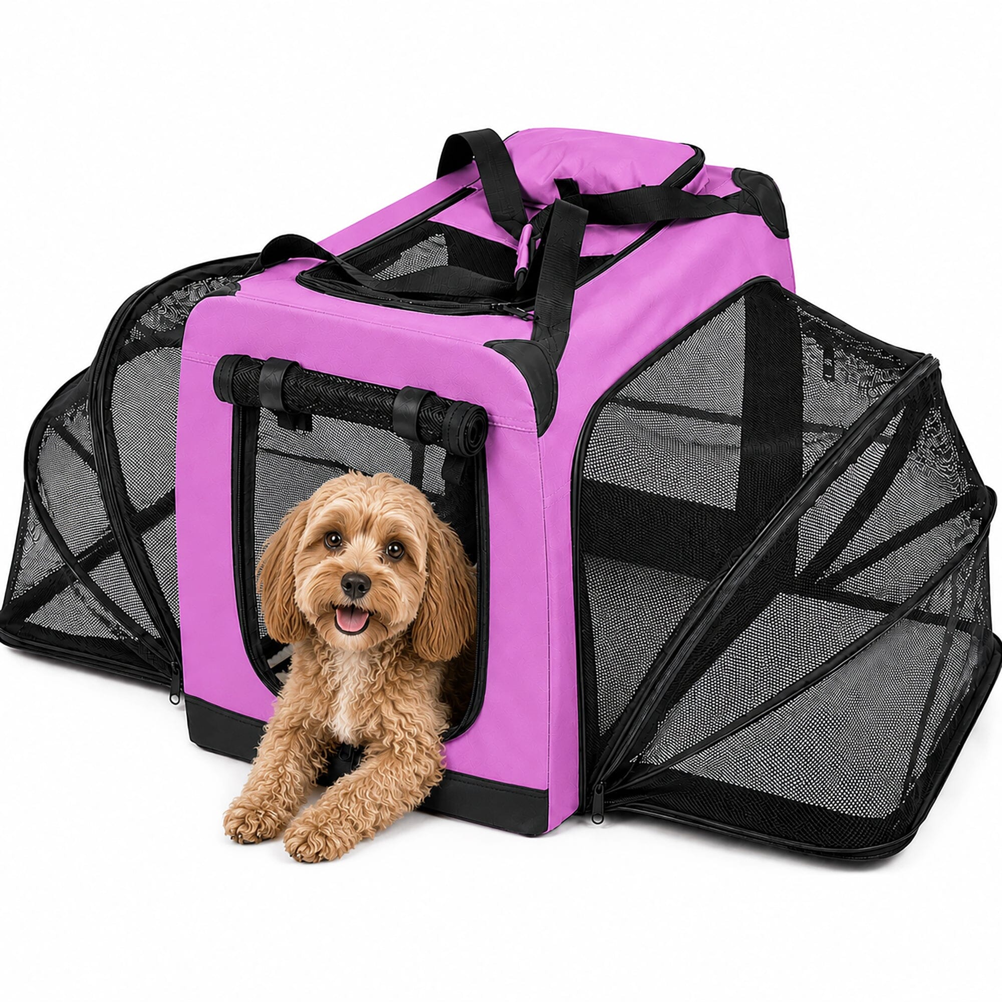 Hounda Accordion Collapsible Expandable Soft Pet Dog Crate
