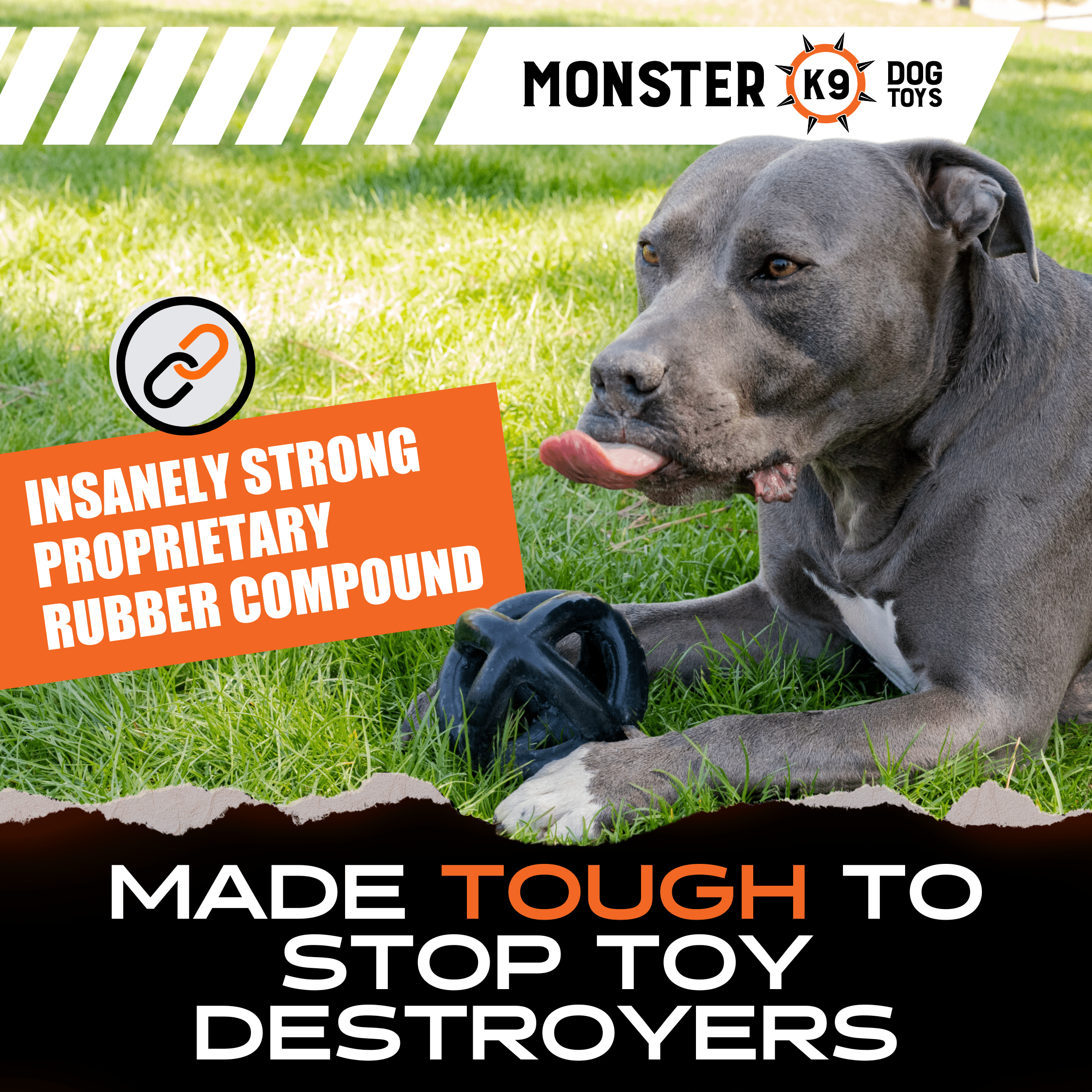 Ring Ball Interactive Dog Toy for Chewing Fetch and Play