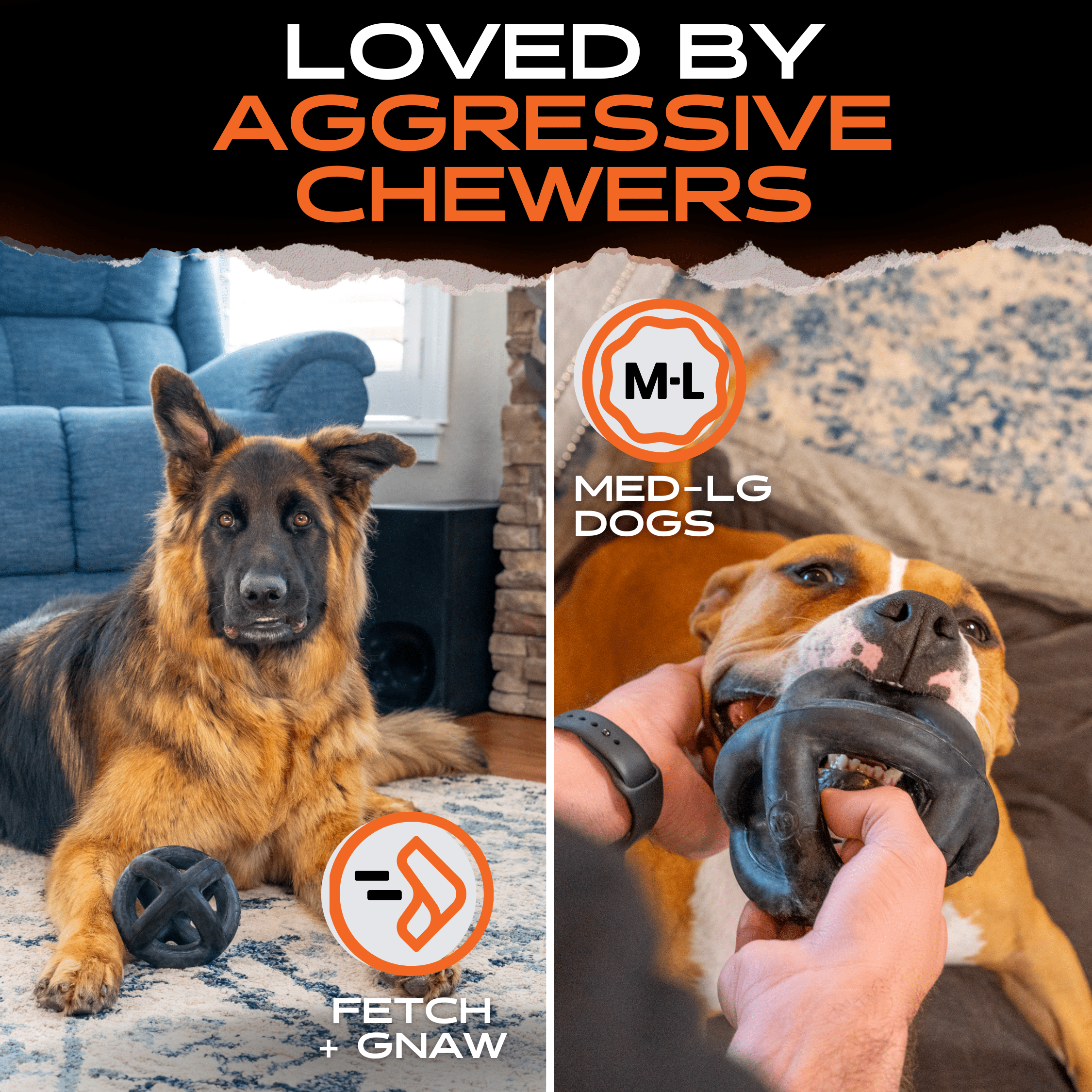 Ring Ball Interactive Dog Toy for Chewing Fetch and Play