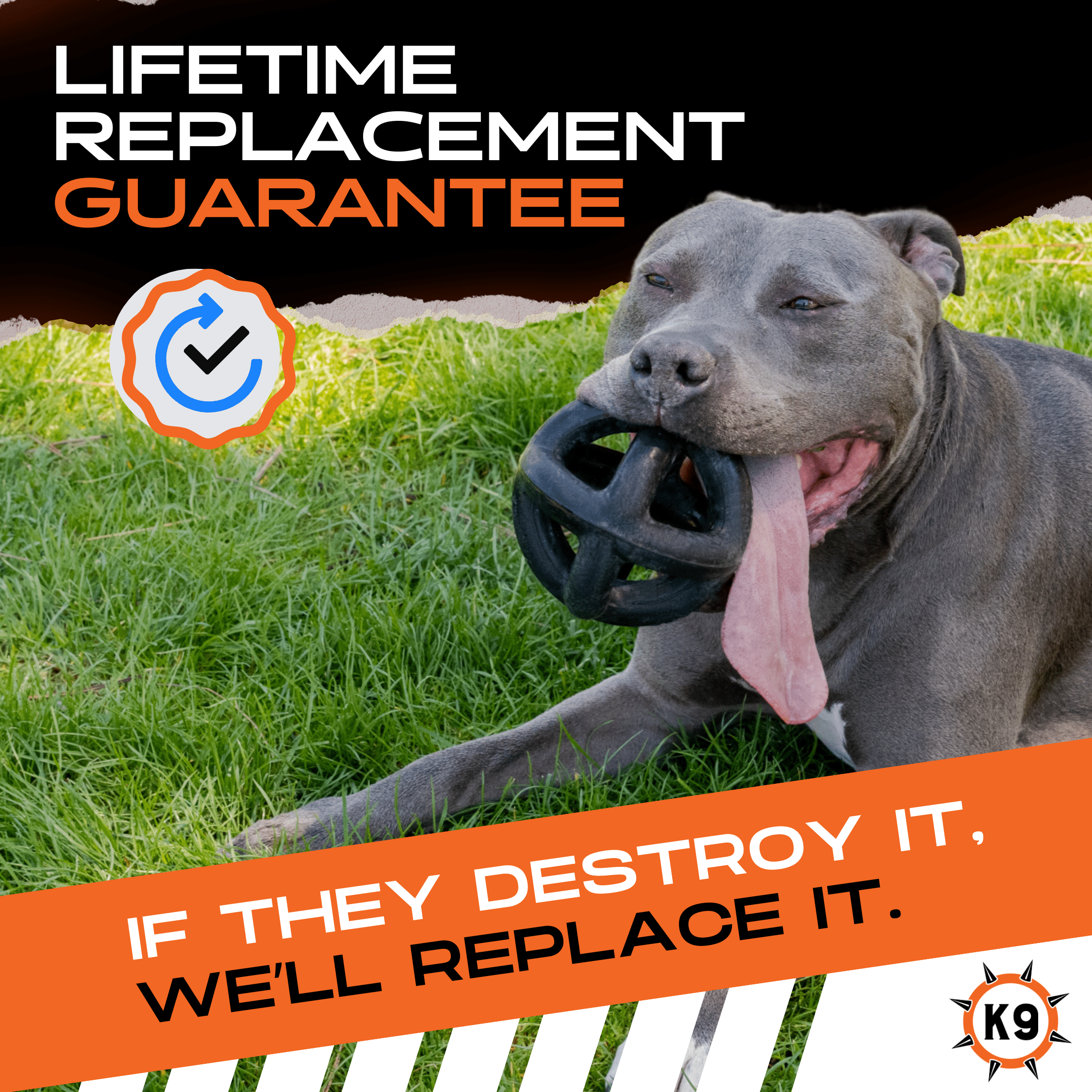 Ring Ball Interactive Dog Toy for Chewing Fetch and Play